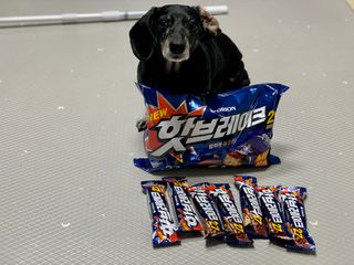 콩이누나님이 올린 리뷰 사진 2