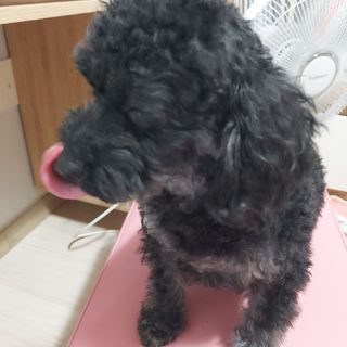 쓔리님이 올린 리뷰 사진 3