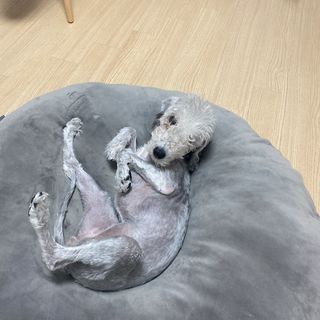 히블리님이 올린 리뷰 사진 3