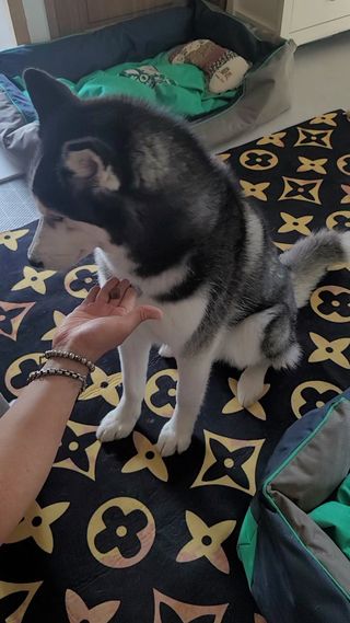 강산아엄마쭈님이 올린 리뷰 사진 3