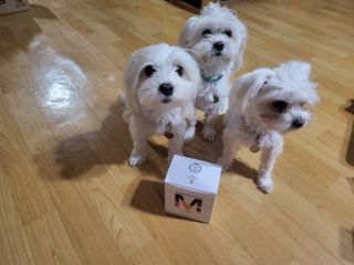 공팔리터님이 올린 리뷰 사진 1