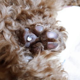 벼리님이 올린 리뷰 사진 4