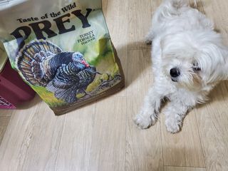 힙스터펭님이 올린 리뷰 사진 1