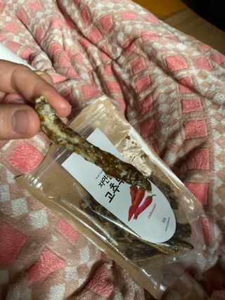 보크다님이 올린 리뷰 사진 4