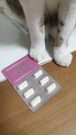 둘둘이님이 올린 리뷰 사진 2