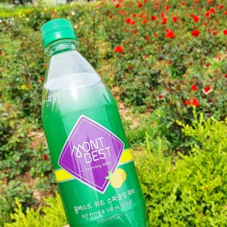 몽베스트 Montbest with Sparkling water Lemon OR Lime 20병(랜덤) — 5점을 준 리뷰어가 2022년 5월 올린 사용 사진