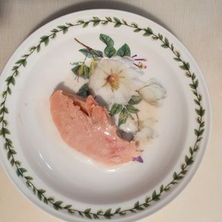 도그퓨어 푸드닭 강아지 닭고기 통살 애견간식 오리지널/차전자피/초록입홍합 — 5점을 준 리뷰어가 2021년 11월 올린 사용 사진
