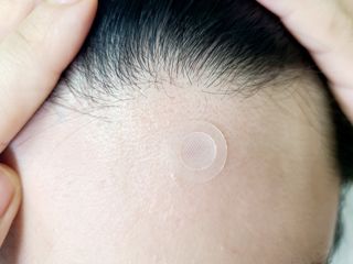 채원님이 올린 리뷰 사진 1