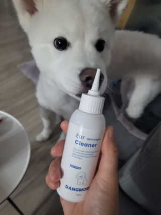 [댕모어 클리너 3종] 아이클리너 / 이어클리너 / 덴탈클리너 3종 세트 (120ml) — 5점을 준 리뷰어가 2023년 9월 올린 사용 사진
