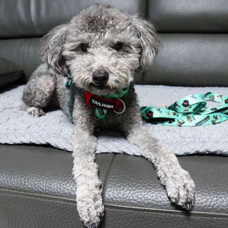 엄지콩님이 올린 리뷰 사진 4