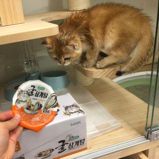 고고고님이 올린 리뷰 사진 3