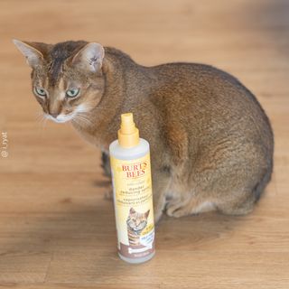 miinii님이 올린 리뷰 사진 2