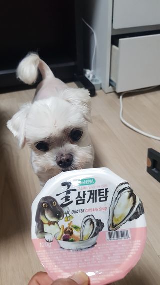 김푸딩님님이 올린 리뷰 사진 2