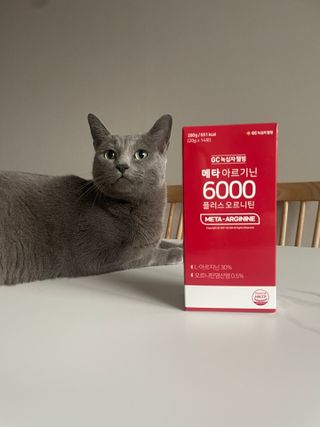 메타아르기닌 GC녹십자웰빙 메타 아르기닌 6000 플러스 오르니틴 — 4점을 준 리뷰어가 2022년 10월 올린 사용 사진