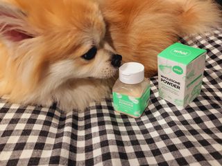좋아님이 올린 리뷰 사진 1