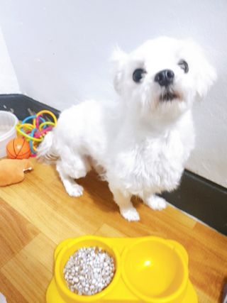 박미진님이 올린 리뷰 사진 4
