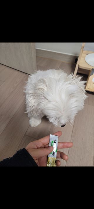 둥가둥가우리도도님이 올린 리뷰 사진 2