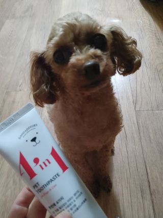 멍순이님이 올린 리뷰 사진 1