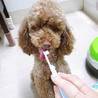 벼리님이 올린 리뷰 사진 4