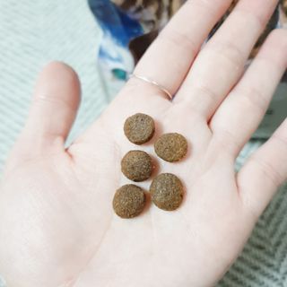 벼리님이 올린 리뷰 사진 3