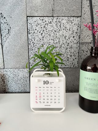 [메이크정글] 식물과 달력이 하나로, 2023년 식물캘린더 No.1 — 5점을 준 리뷰어가 2022년 10월 올린 사용 사진