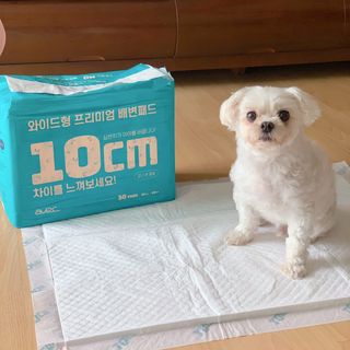 아베크 펫 와이드 프리미엄 대형 애견 강아지 배변 패드 30매 1팩 80g — 5점을 준 리뷰어가 2021년 7월 올린 사용 사진