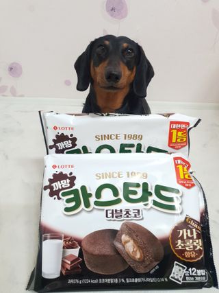 롯데제과 까망카스타드 더블초코 — 5점을 준 리뷰어가 2021년 5월 올린 사용 사진