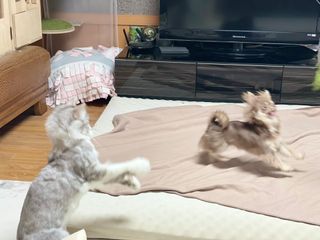 도토밤님이 올린 리뷰 사진 2