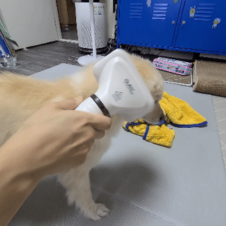 코코민네님이 올린 리뷰 사진 4