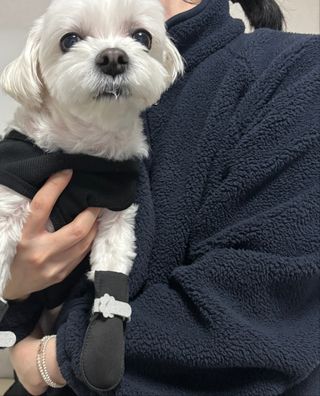홍효정님이 올린 리뷰 사진 1