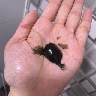 세지니힛님이 올린 리뷰 사진 4