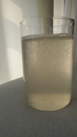 몽베스트 Montbest with Sparkling water Plain 20병 — 5점을 준 리뷰어가 2021년 11월 올린 사용 사진