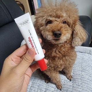 [자유펫] 시코니딘 고양이 강아지 피부 보습 연고 20g — 5점을 준 리뷰어가 2021년 10월 올린 사용 사진