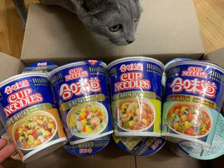 NISSIN 닛신 컵누들  4종 - 씨푸드오리지날, 씨푸드 스파이시, 씨푸드 커리, 씨푸드 XO소스 — 4.5점을 준 리뷰어가 2022년 11월 올린 사용 사진