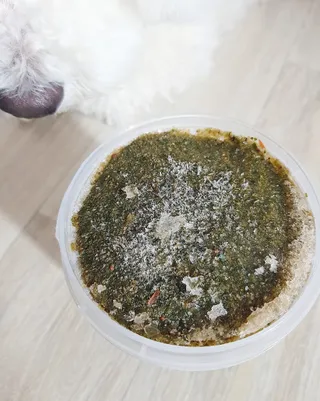밍구님이 올린 리뷰 사진 2