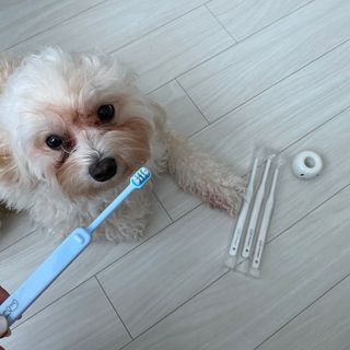 칸쵸님이 올린 리뷰 사진 2