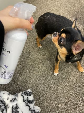 정열매님이 올린 리뷰 사진 4