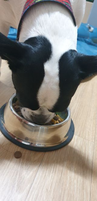 jeinok님이 올린 리뷰 사진 3
