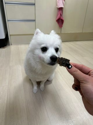 이세림님이 올린 리뷰 사진 4