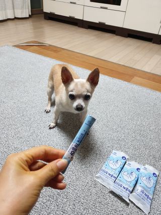My Pet Care 장건강에 개좋아 — 5점을 준 리뷰어가 2021년 2월 올린 사용 사진