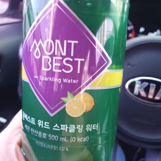 몽베스트 Montbest with Sparkling water Lemon OR Lime 20병(랜덤) — 5점을 준 리뷰어가 2023년 2월 올린 사용 사진