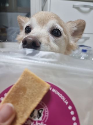 캥거루님이 올린 리뷰 사진 1