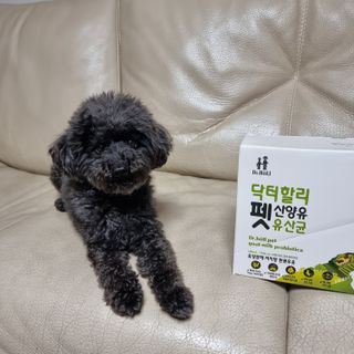 apple님이 올린 리뷰 사진 1