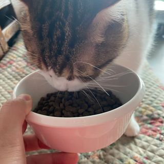 러브굿님이 올린 리뷰 사진 3