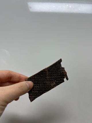 [졸리졸리] 말고기 육포 간식 (HORSE MEAT JERKY) — 5점을 준 리뷰어가 2023년 1월 올린 사용 사진