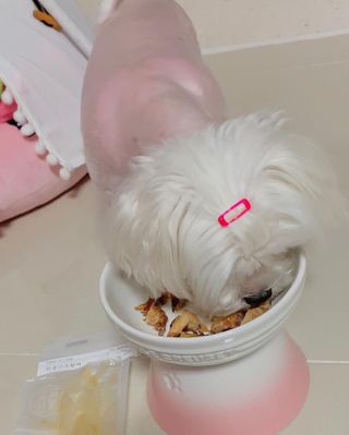 메리님이 올린 리뷰 사진 2