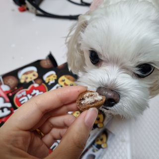 youngran님이 올린 리뷰 사진 2