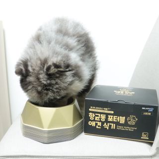 [세싹보울] 세균 싹~ 사라지는 셀앤핏 펫 항균동 애견식기 — 5점을 준 리뷰어가 2021년 6월 올린 사용 사진
