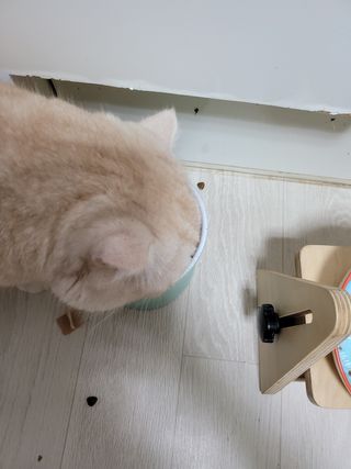 효성님이 올린 리뷰 사진 1