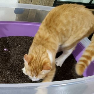 복덩이님이 올린 리뷰 사진 4